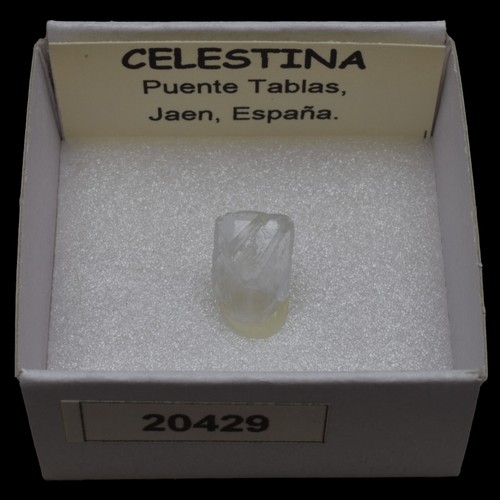 Celestina cristal puente - cristal, (puente