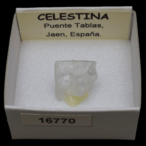 Celestina cristal puente - celestina,