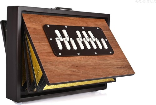 Shruti box professionale - professionale, 13