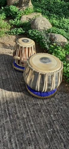 Tablas indiane professionali