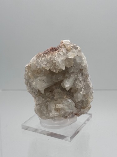 Celestina celestine puente - celestina,