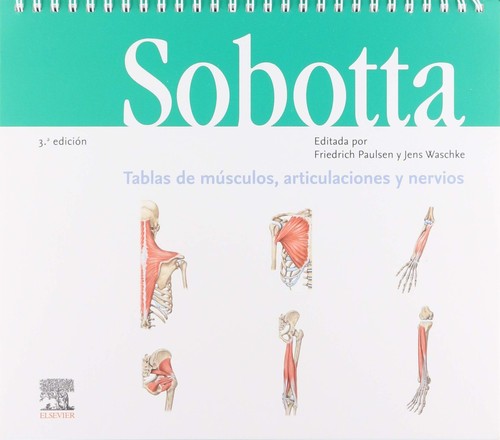 Sobotta tablas músculos - sobotta.,