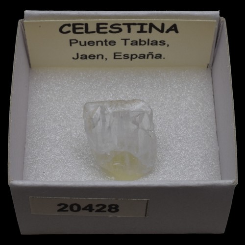 Celestina cristal puente - celestina,