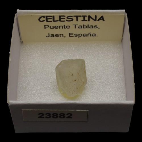 Celestina cristal puente - cristal, (puente